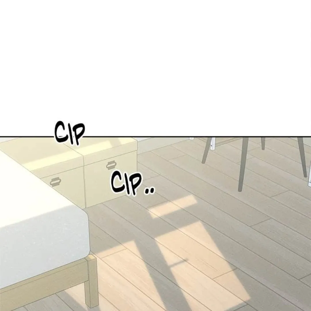 Chapter 27 — page 161
