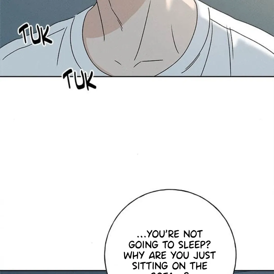 Chapter 27 — page 95