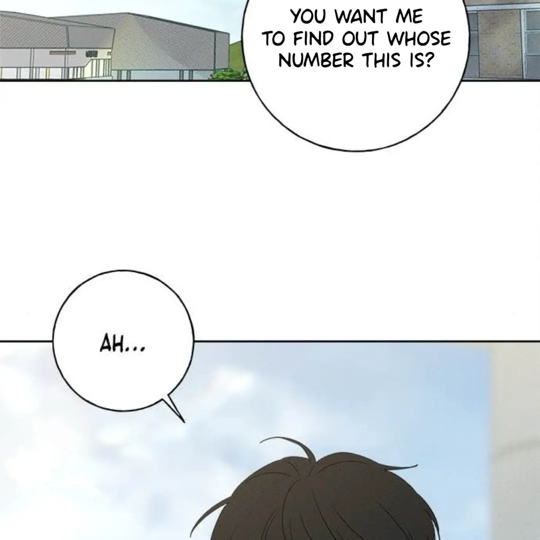 Chapter 28 — page 163