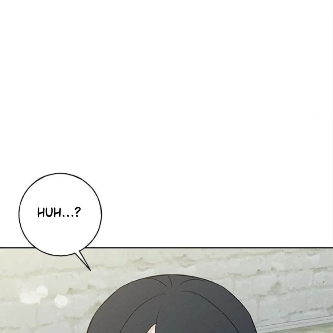 Chapter 29 — page 100