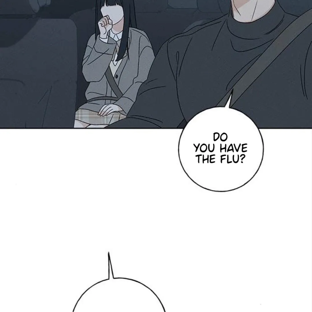 Chapter 29 — page 155