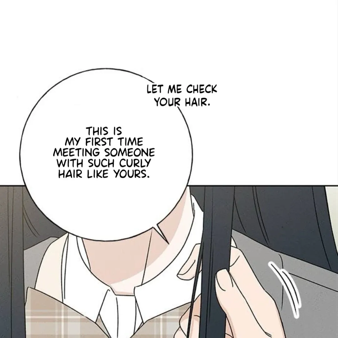 Chapter 29 — page 45