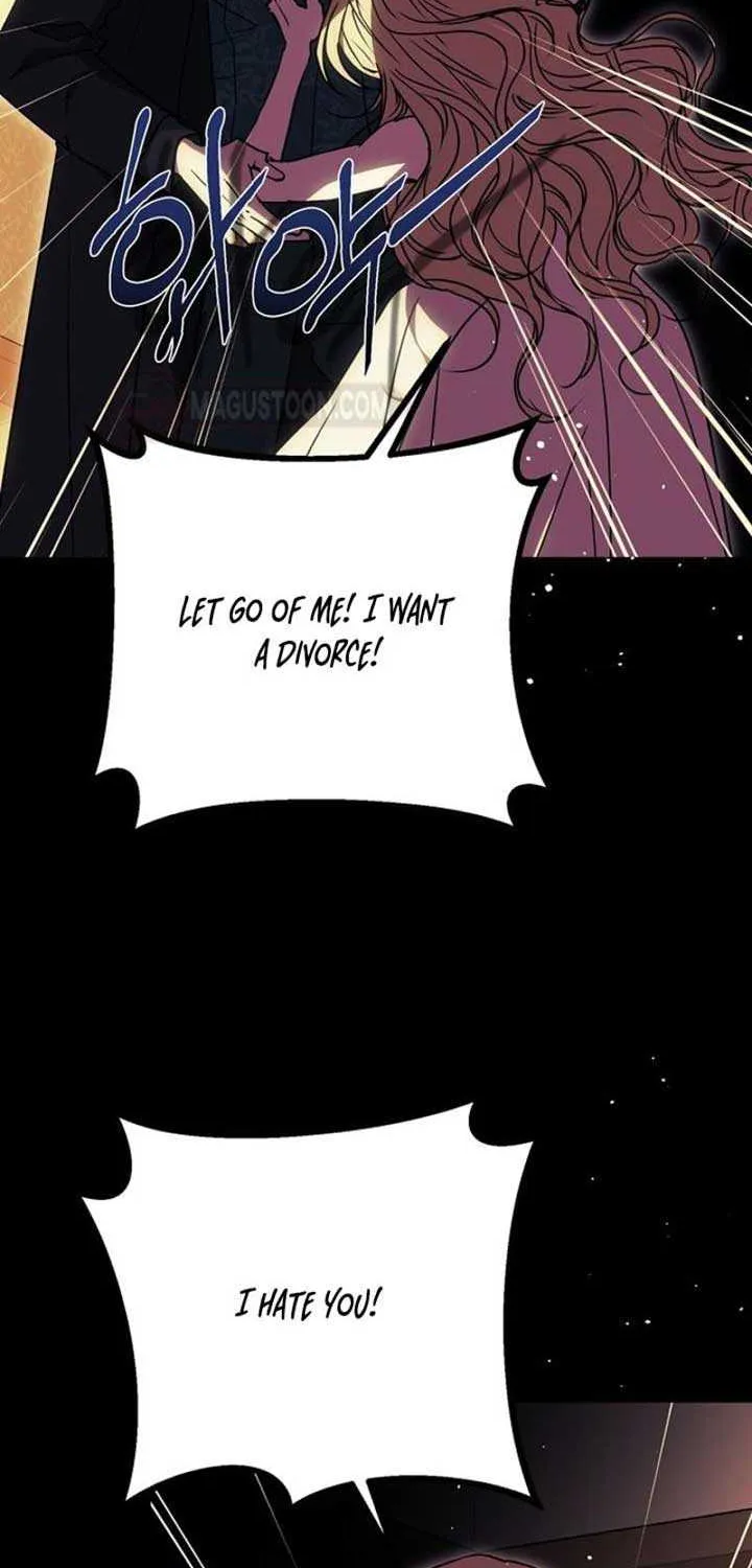Chapter 2 — page 113