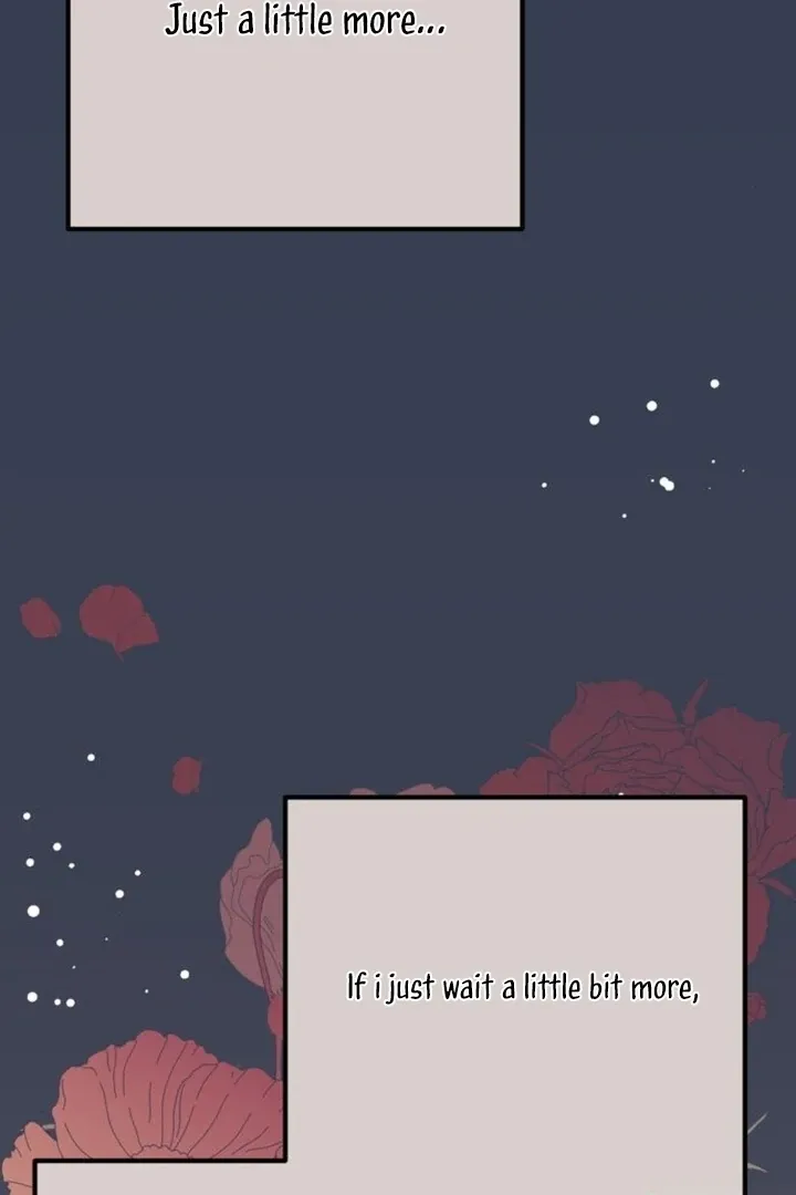 Chapter 13 — page 101