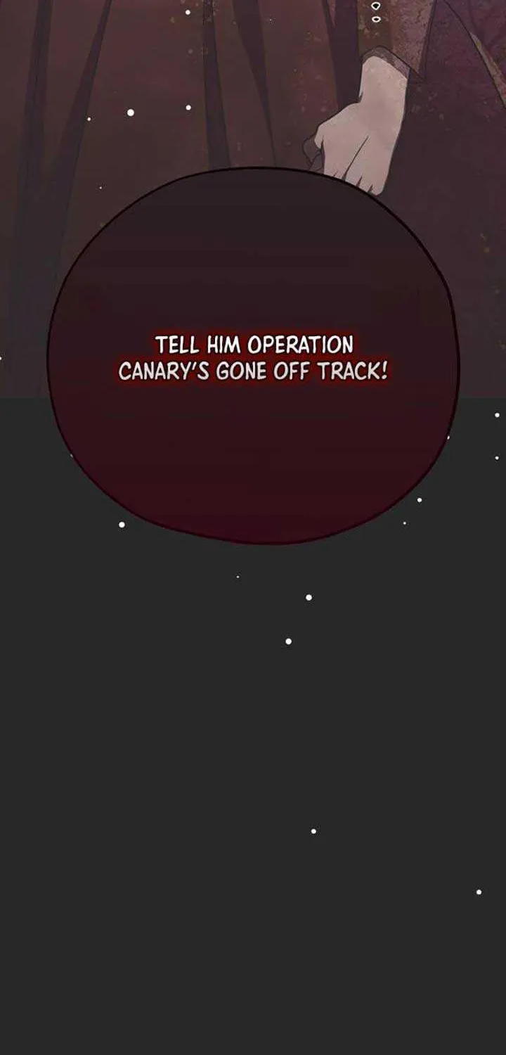 Chapter 3 — page 101