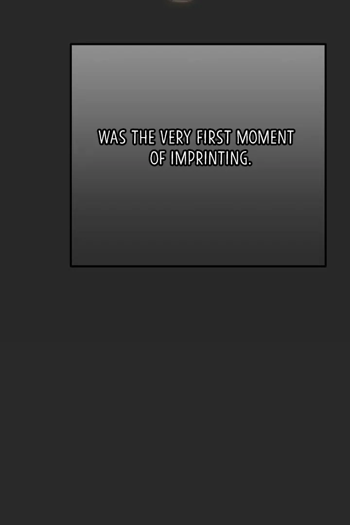 Chapter 28 — page 46