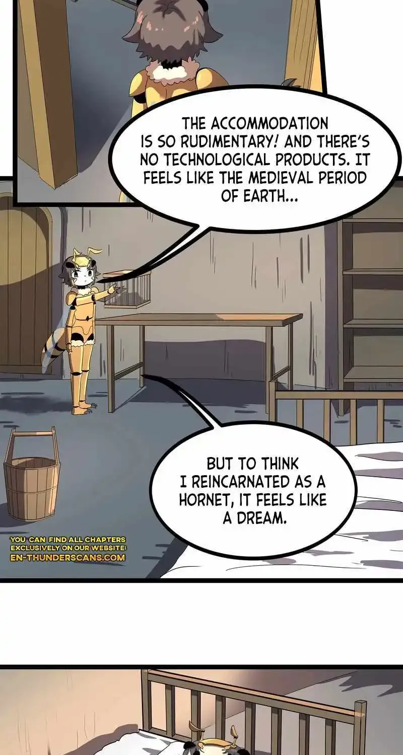 Chapter 3 — page 22