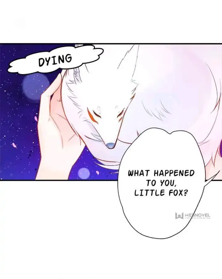 Chapter 1 — page 47