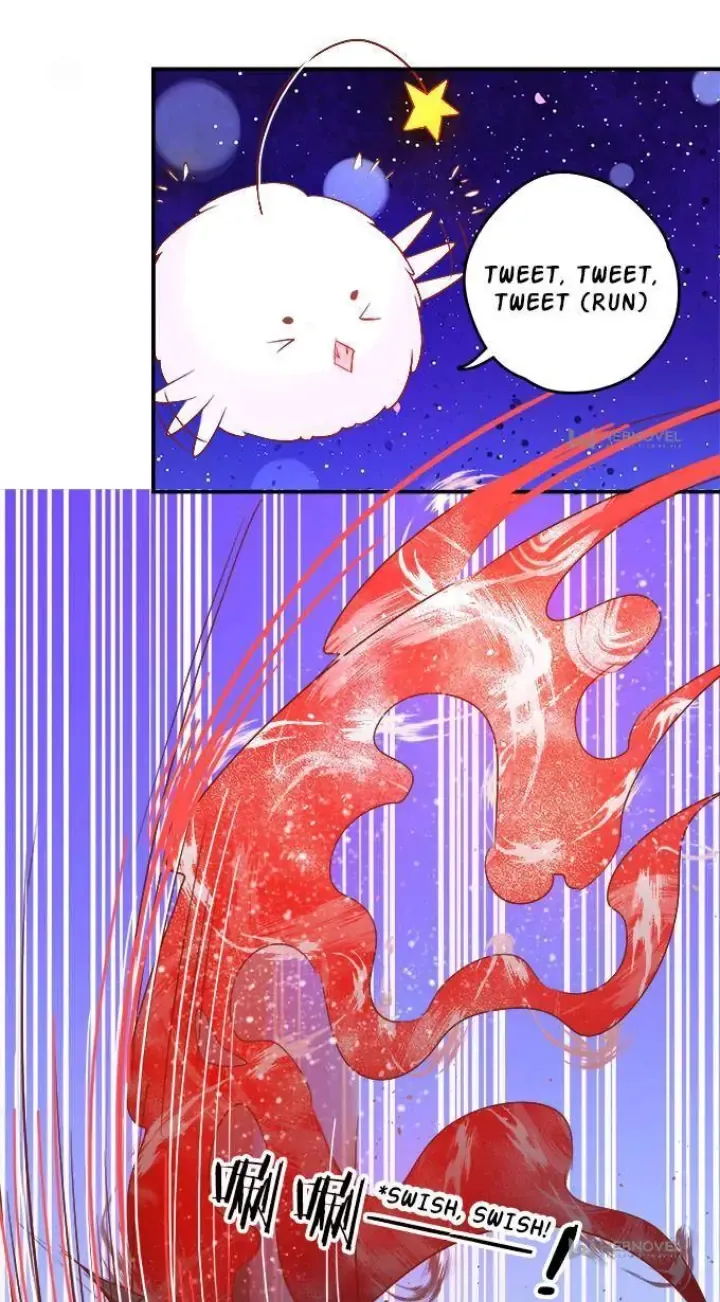 Chapter 1 — page 51