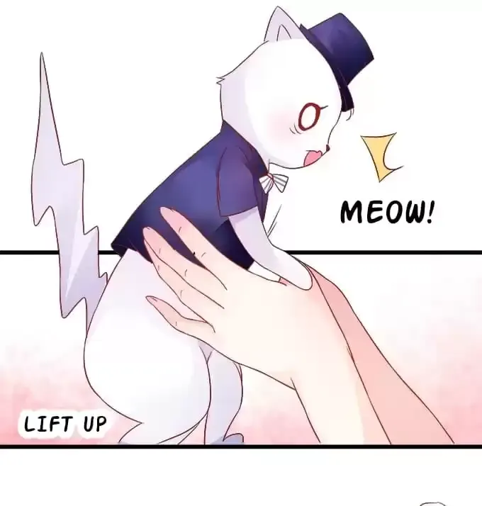 Chapter 13 — page 79