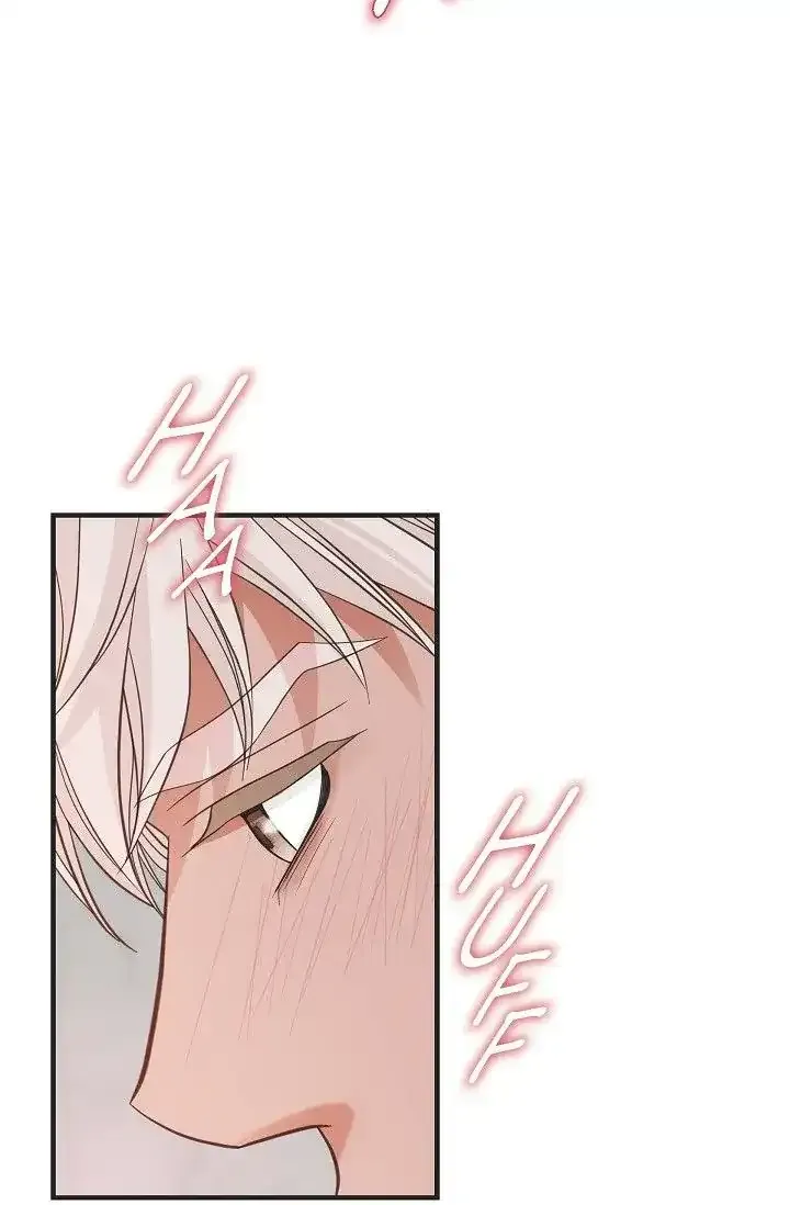 Chapter 21 — page 88