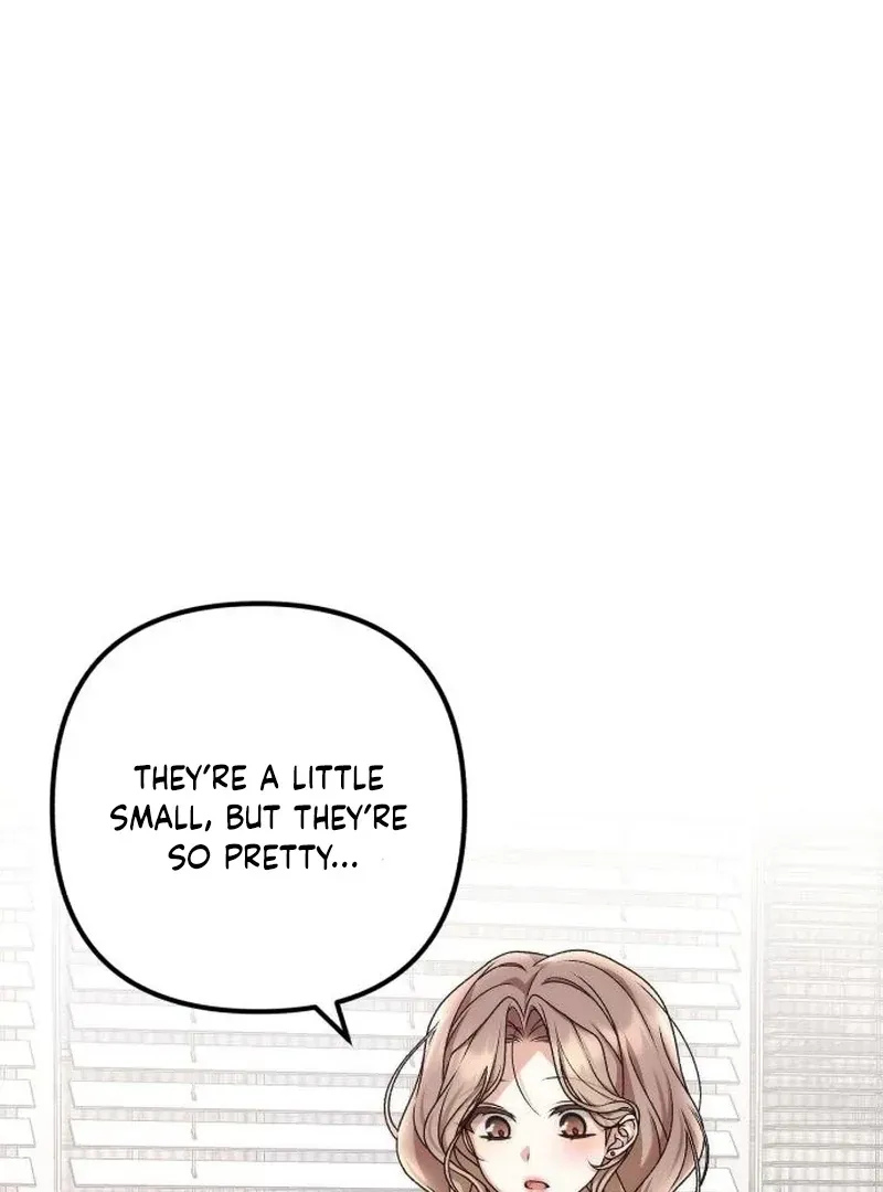 Chapter 5 — page 71