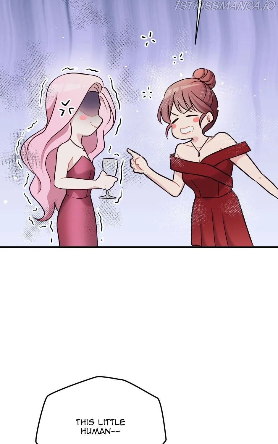 Chapter 17 — page 113