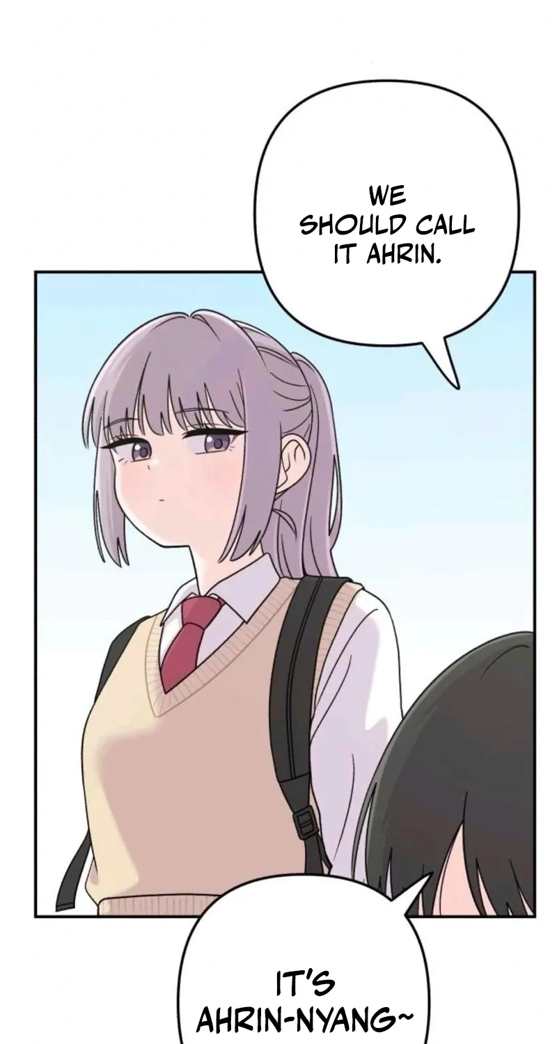 Chapter 16 — page 11