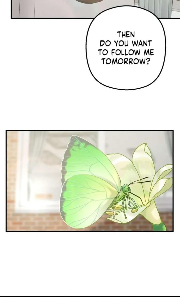 Chapter 3 — page 36