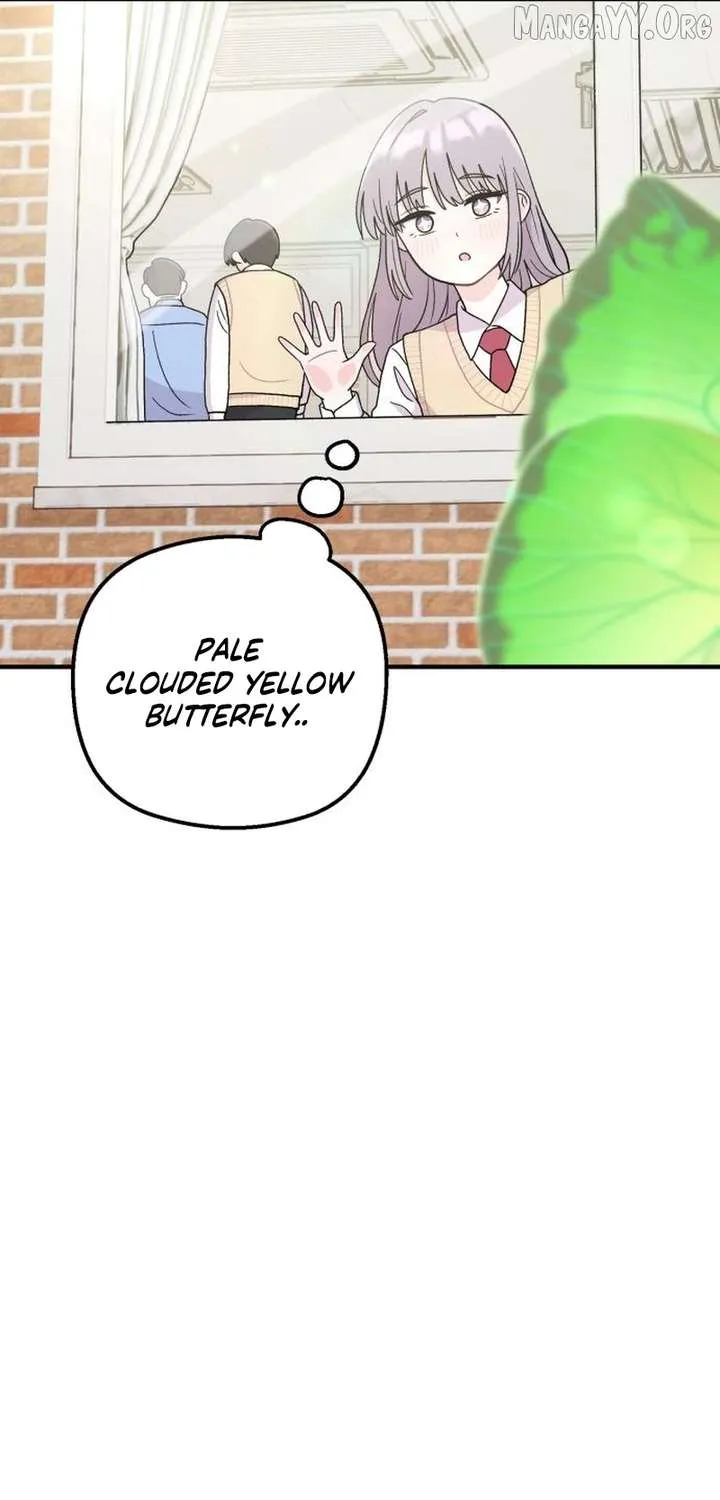 Chapter 3 — page 37