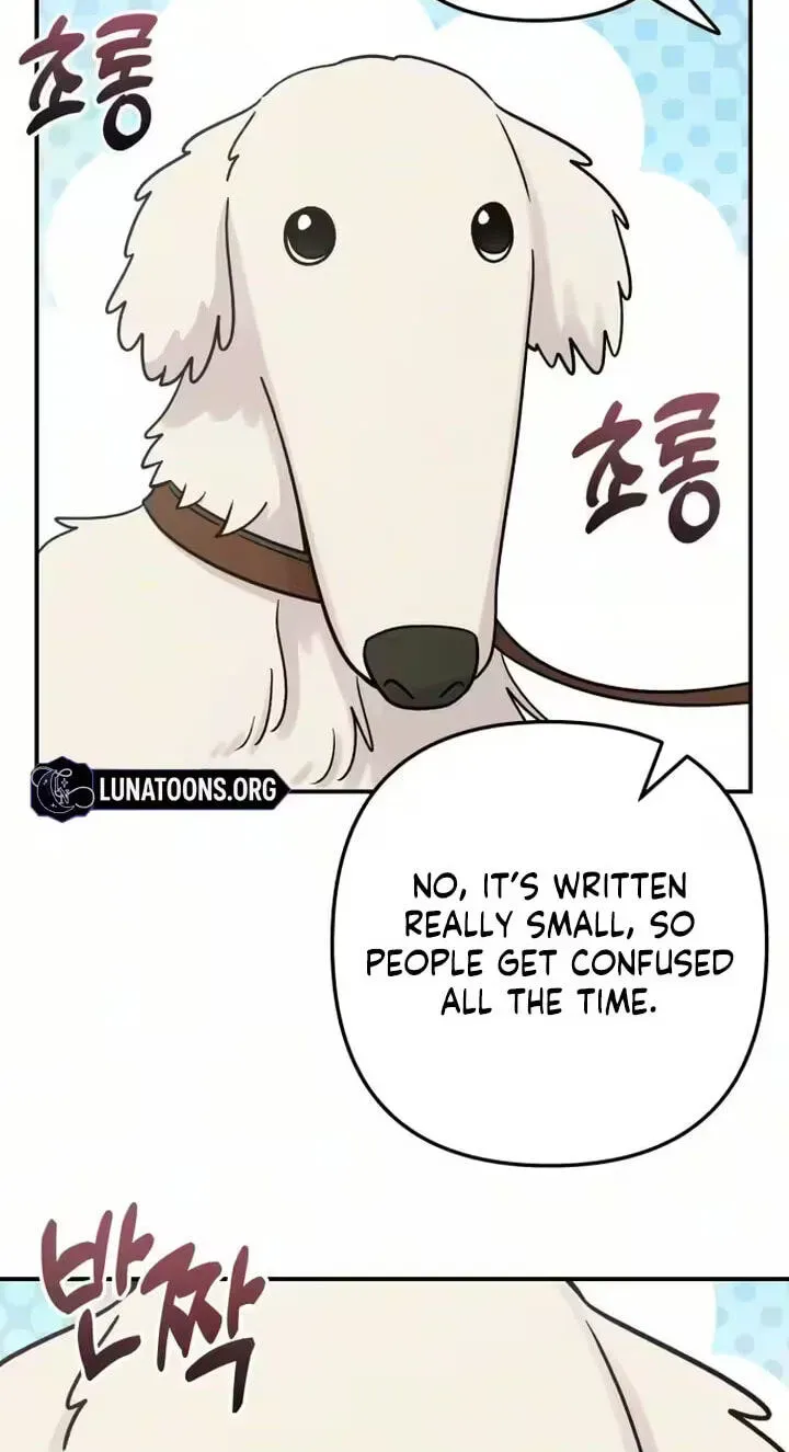 Chapter 29 — page 25