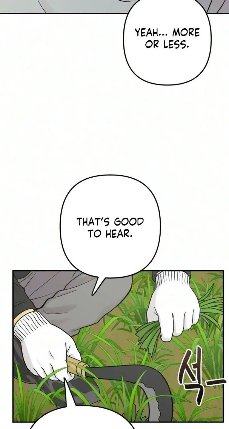 Chapter 31 — page 46