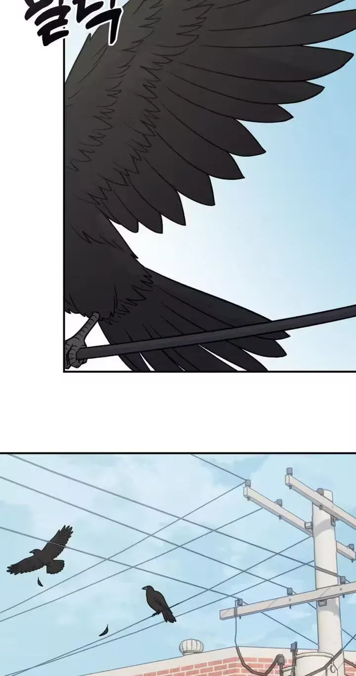 Chapter 37 — page 65