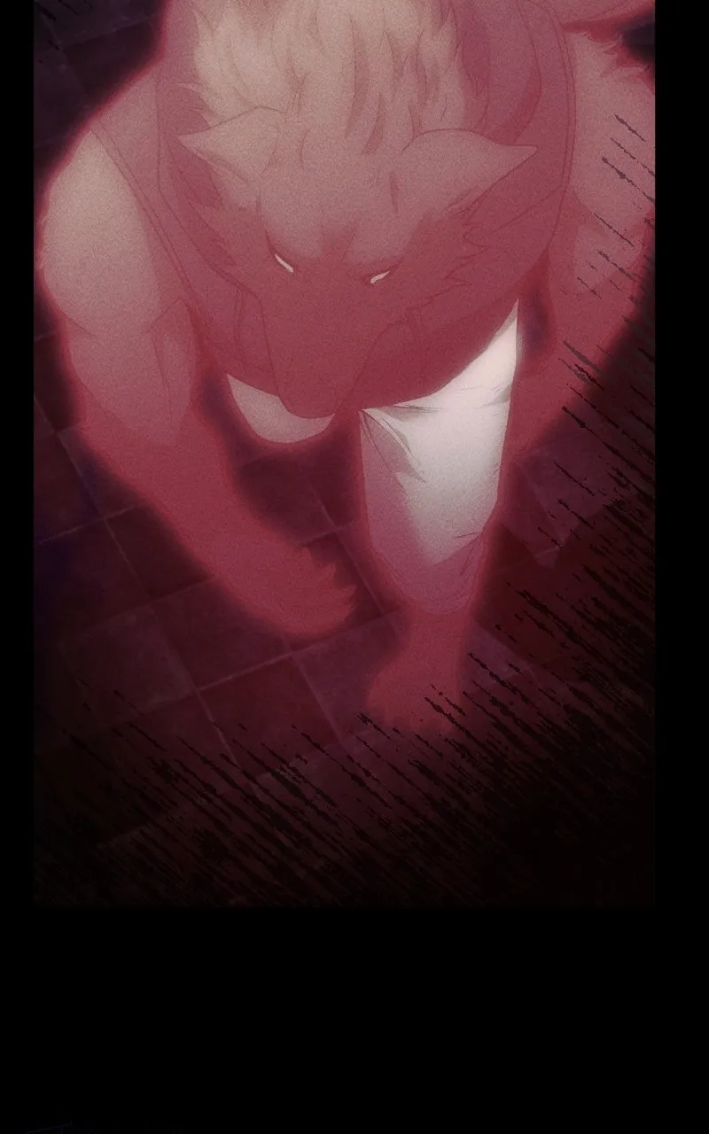 Chapter 6 — page 11
