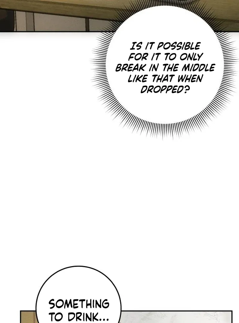 Chapter 13 — page 95