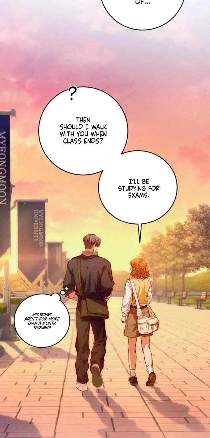 Chapter 5 — page 42