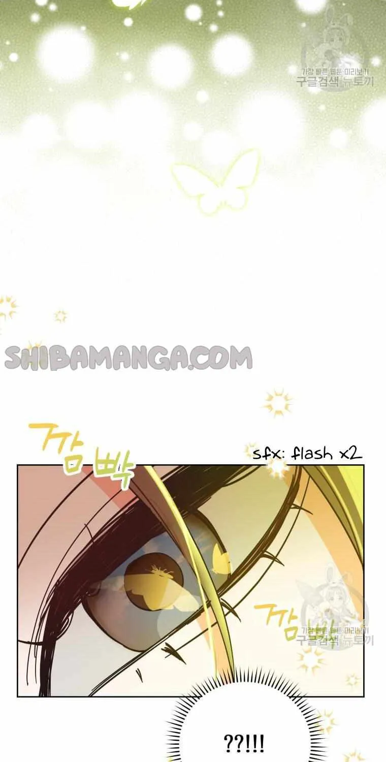 Chapter 3 — page 41