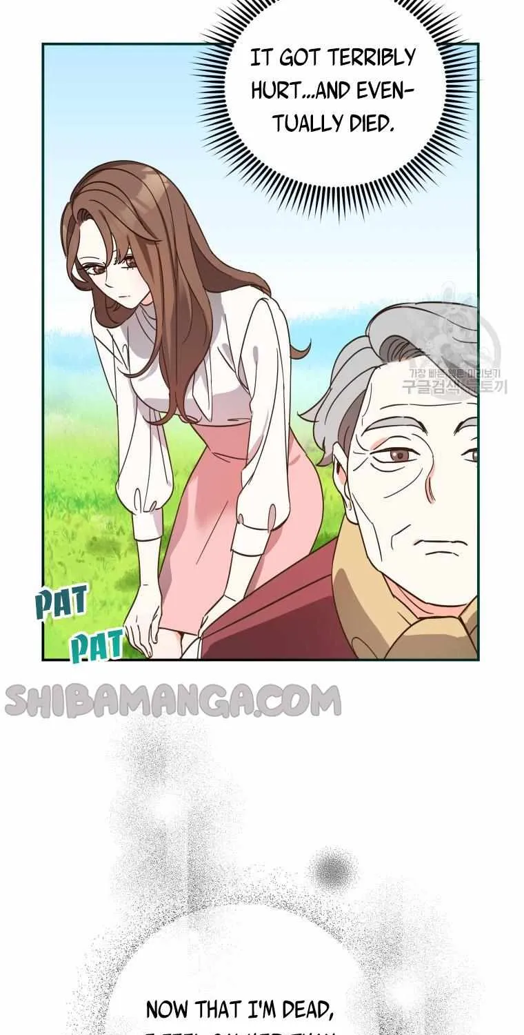 Chapter 3 — page 51