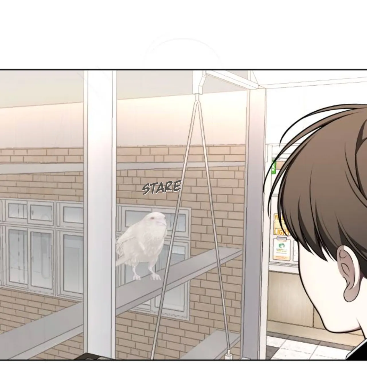 Chapter 29 — page 49