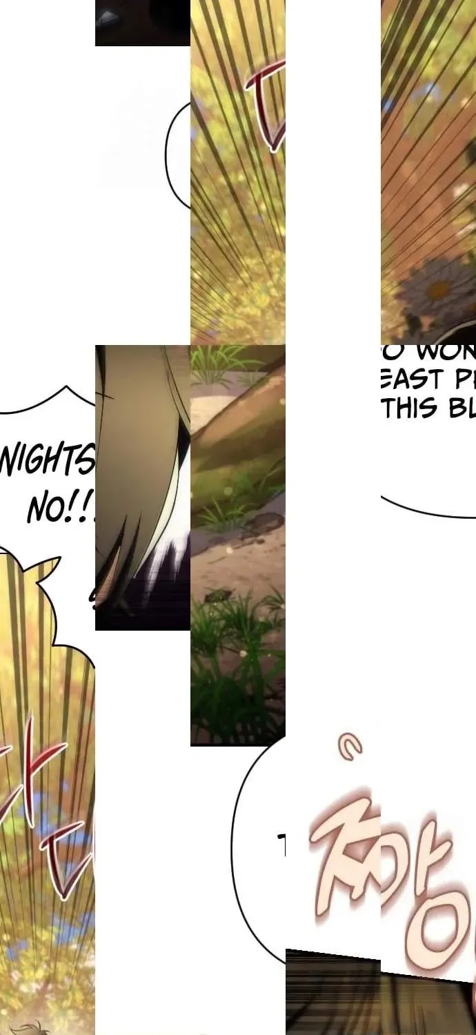 Chapter 17 — page 70