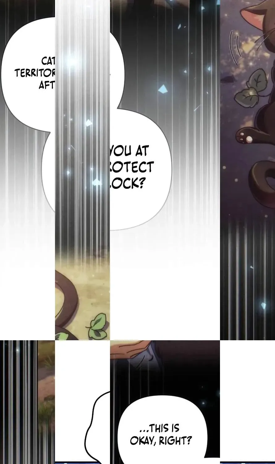 Chapter 25 — page 162