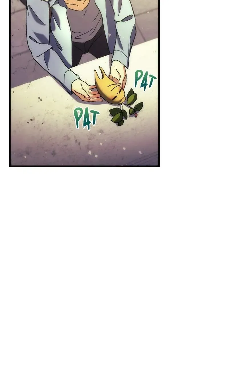 Chapter 5 — page 41