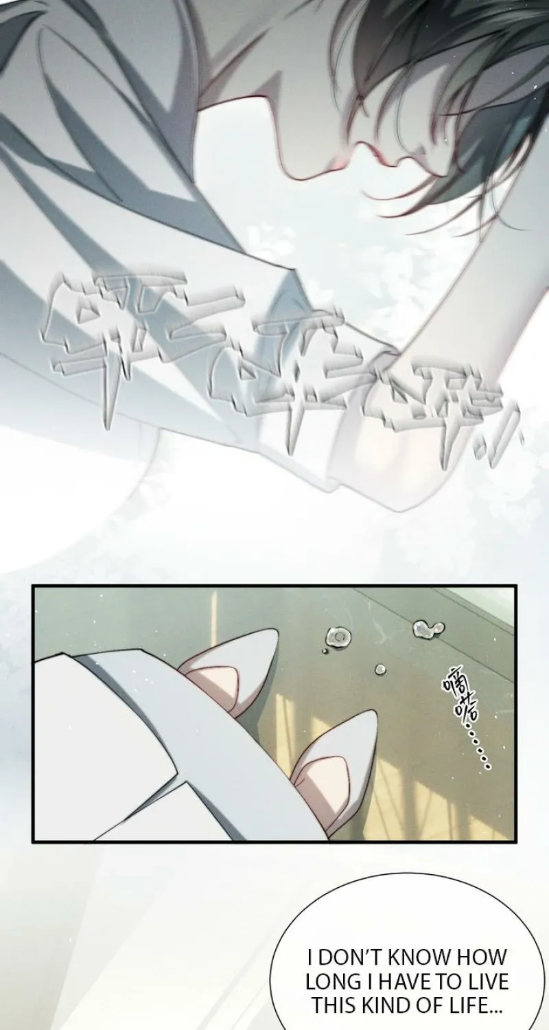 Chapter 8 — page 16