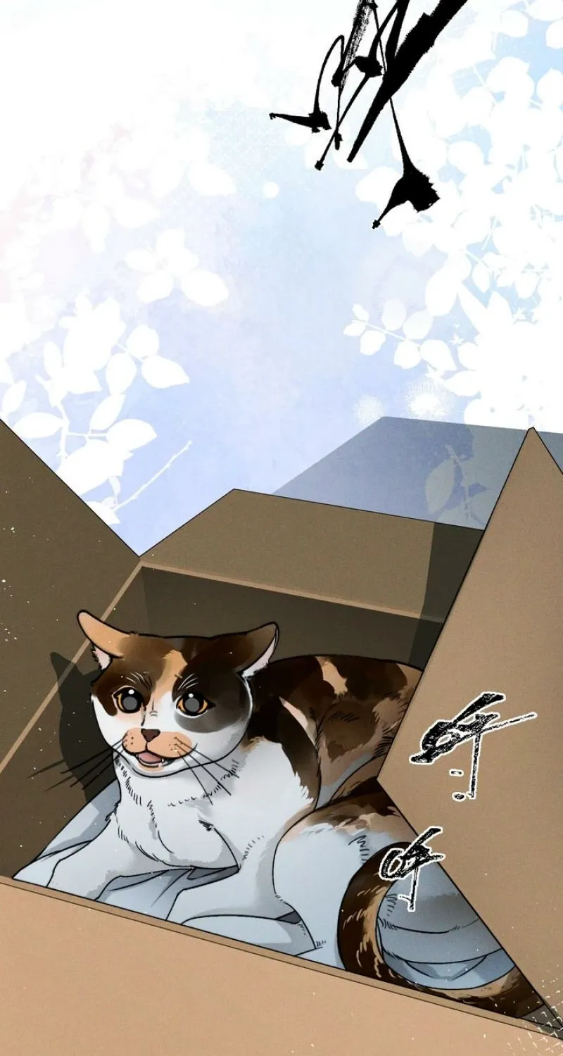 Chapter 9 — page 7