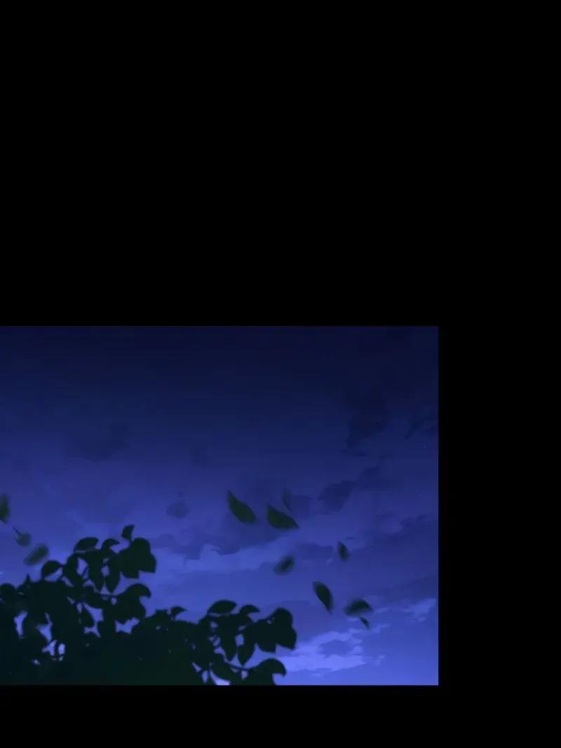 Chapter 26 — page 81