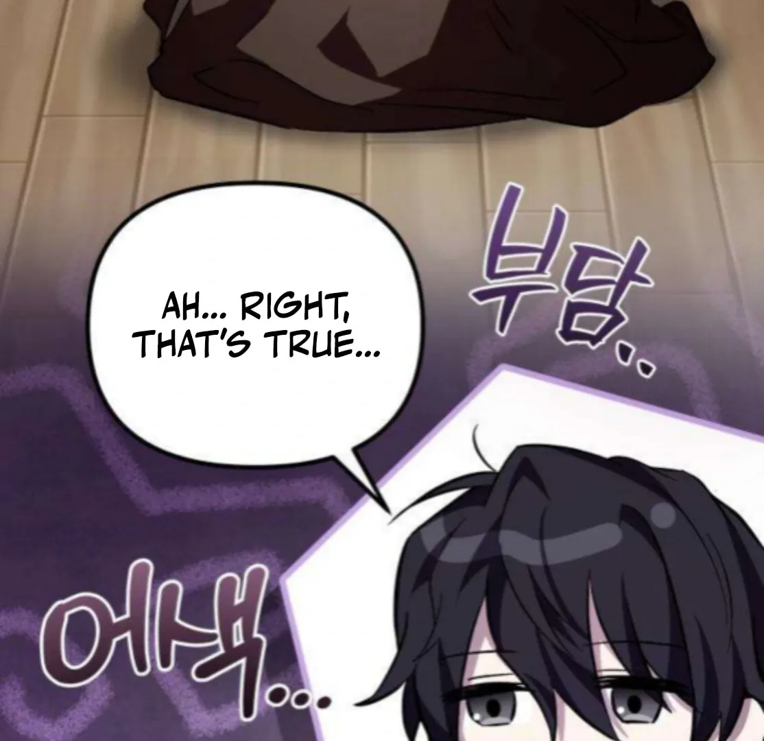 Chapter 8 — page 243