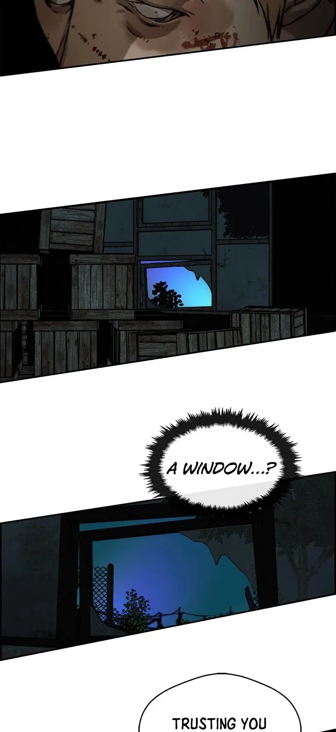 Chapter 43 — page 43