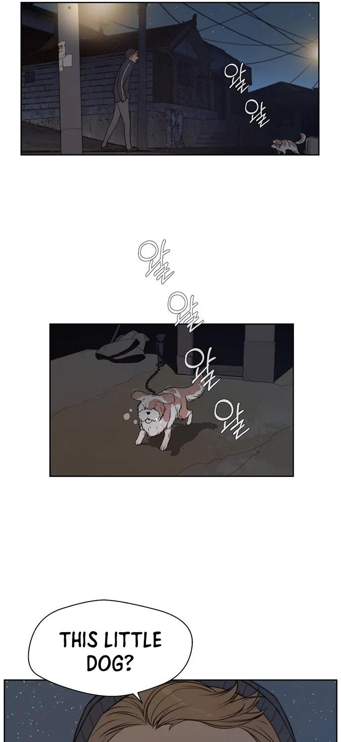 Chapter 7 — page 20
