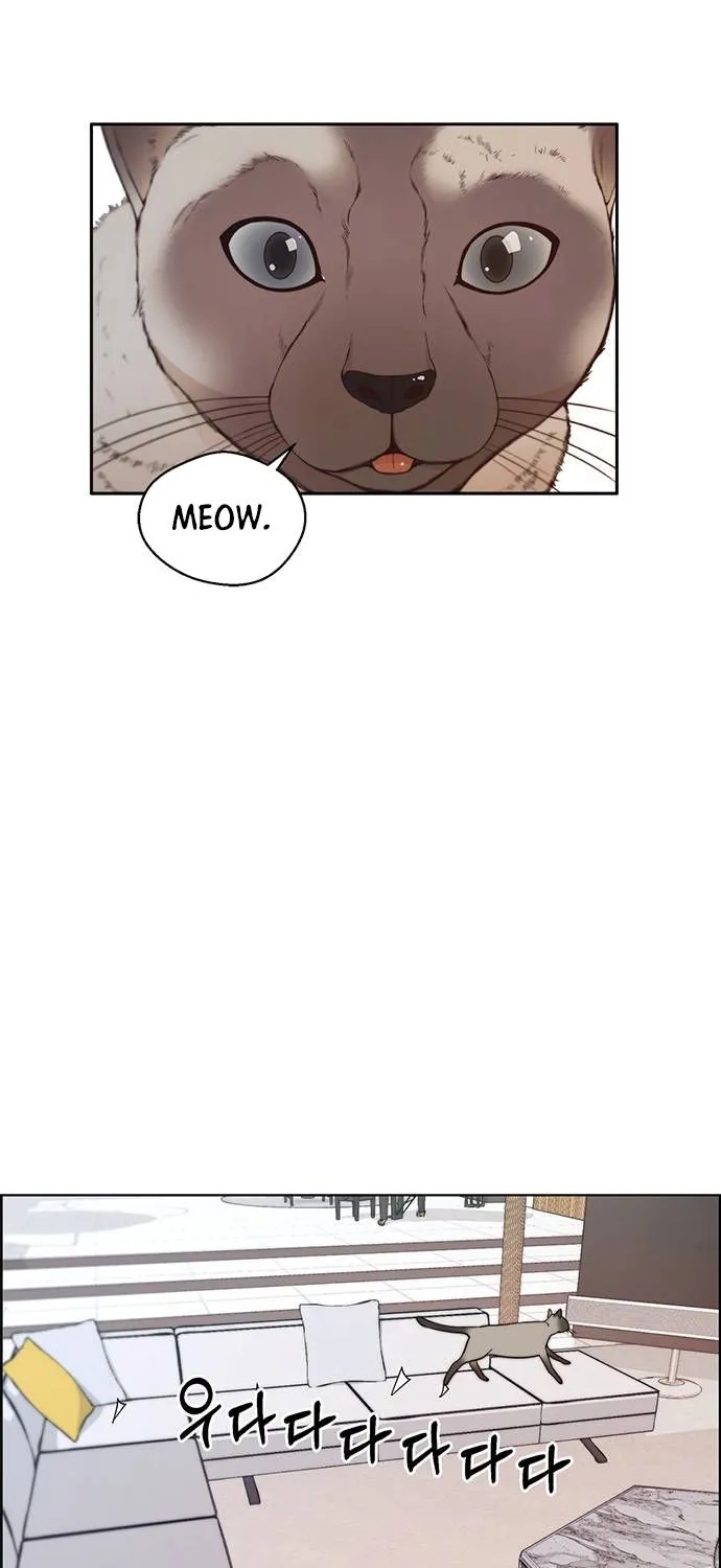Chapter 91 — page 62