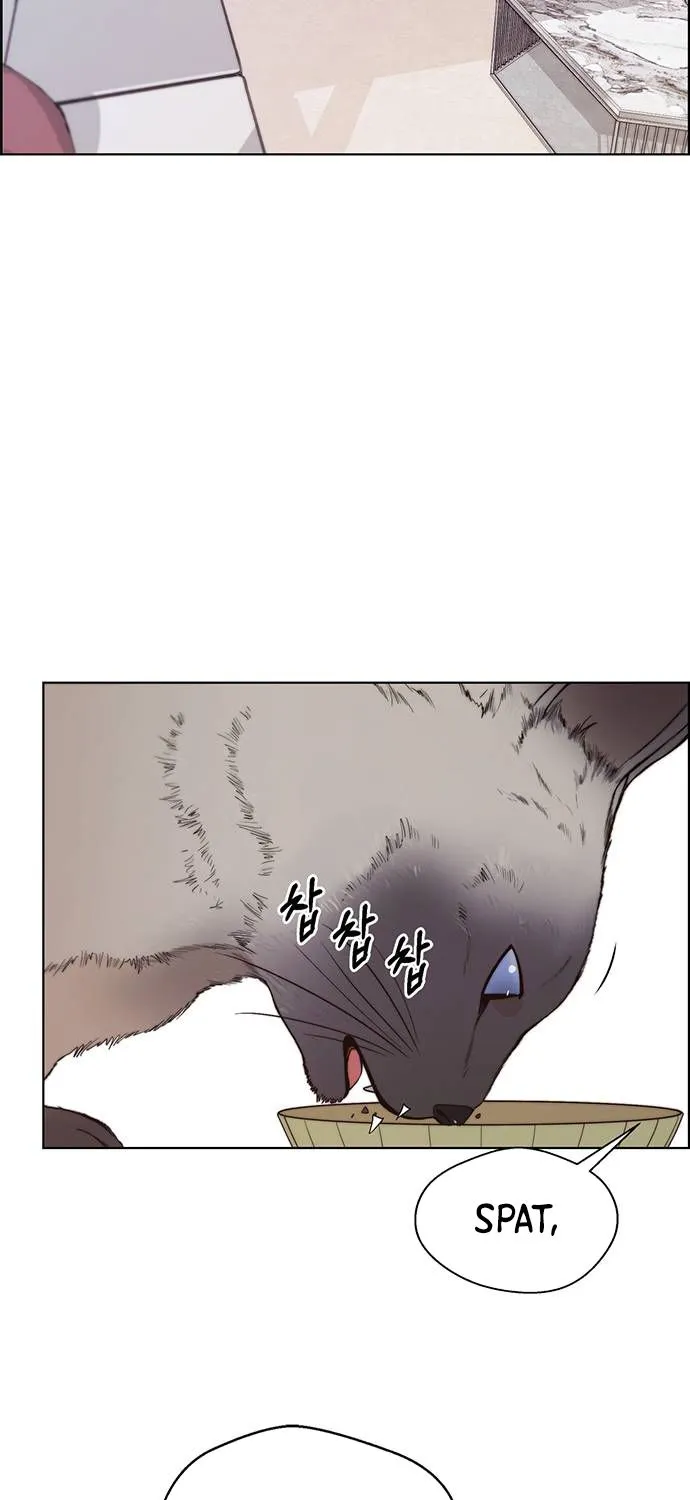 Chapter 91 — page 63