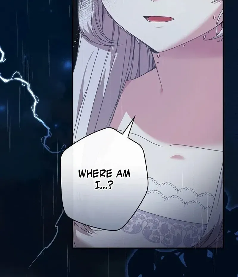 Chapter 1 — page 4