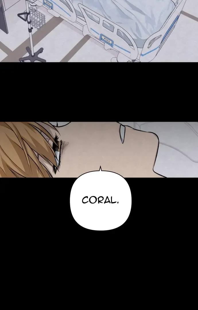 Chapter 4 — page 3