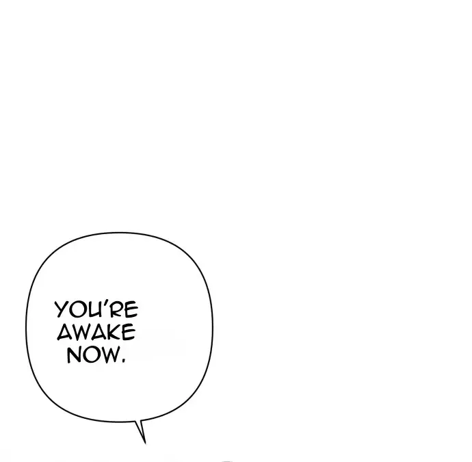 Chapter 4 — page 43