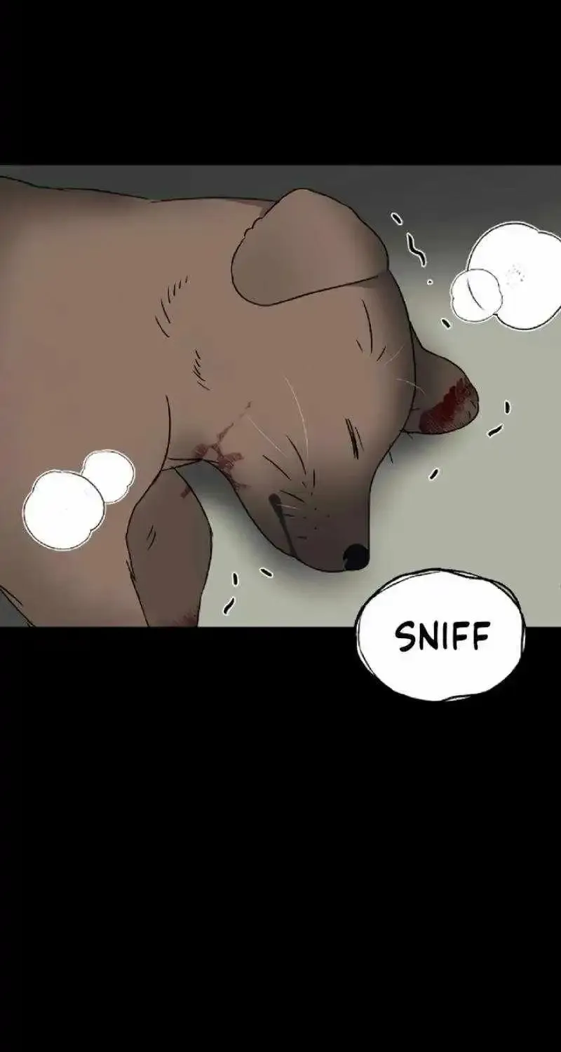 Chapter 2 — page 47