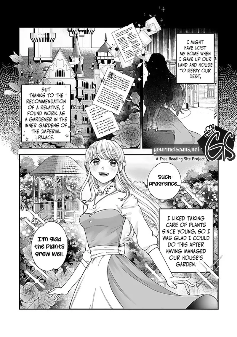 Chapter 1 — page 8