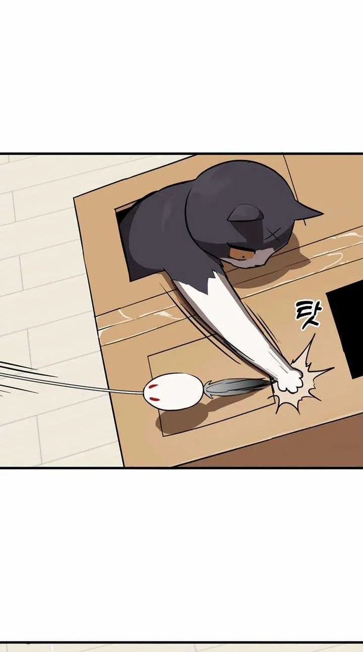 Chapter 1 — page 101