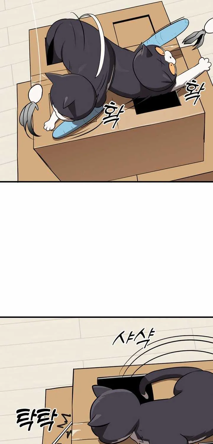 Chapter 1 — page 102
