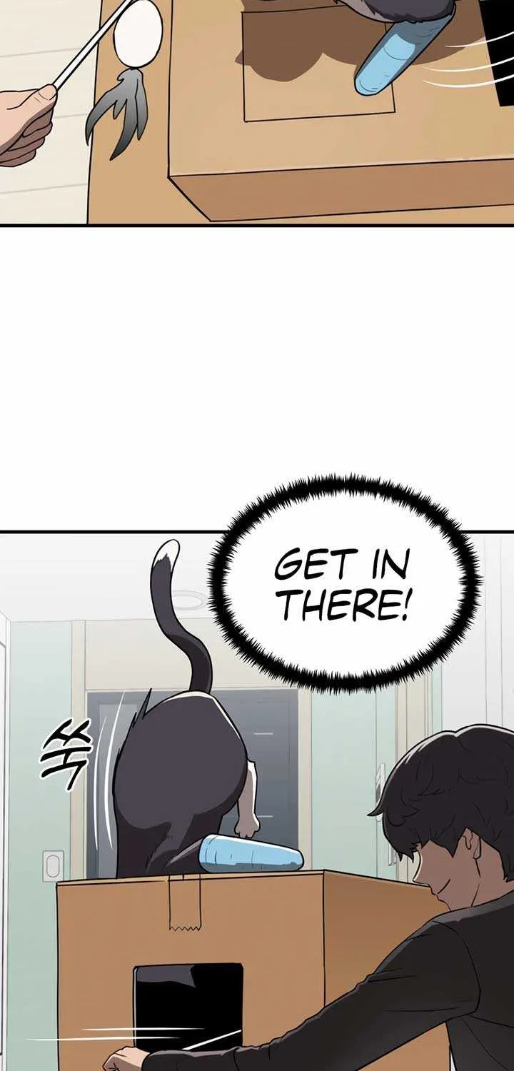 Chapter 1 — page 103