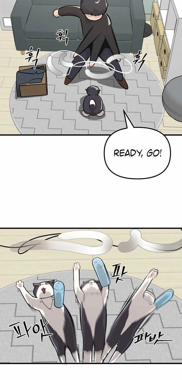 Chapter 1 — page 93