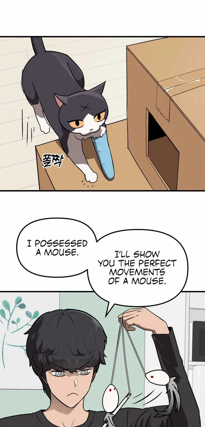 Chapter 1 — page 97